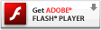 Download the Flash Player 